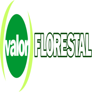 logo valor transparente oficial